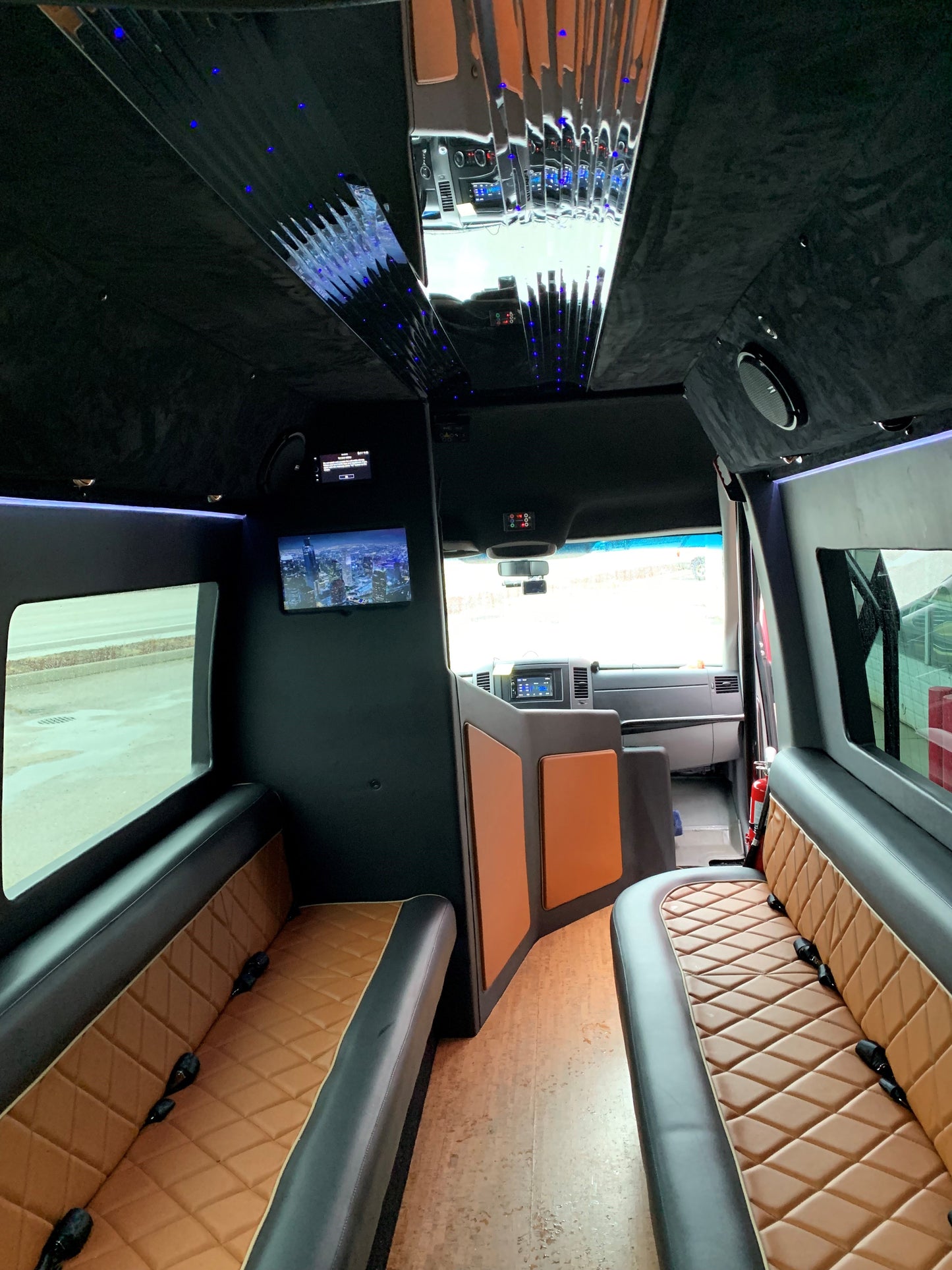 20-Passenger Black Mercedes-Benz Party Bus