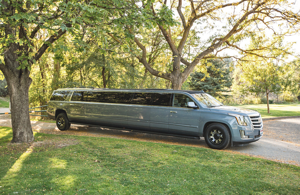 Stretch Escalade in French Sky Blue