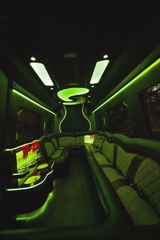 14-Passenger Mercedes-Benz Party Bus