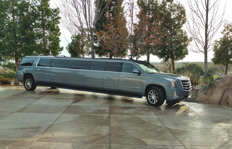 Stretch Escalade in French Sky Blue