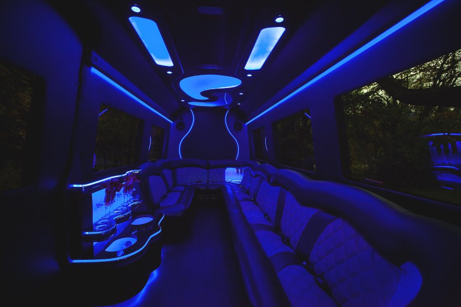 14-Passenger Mercedes-Benz Party Bus