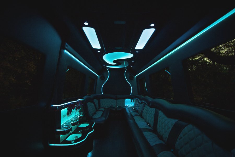 14-Passenger Mercedes-Benz Party Bus