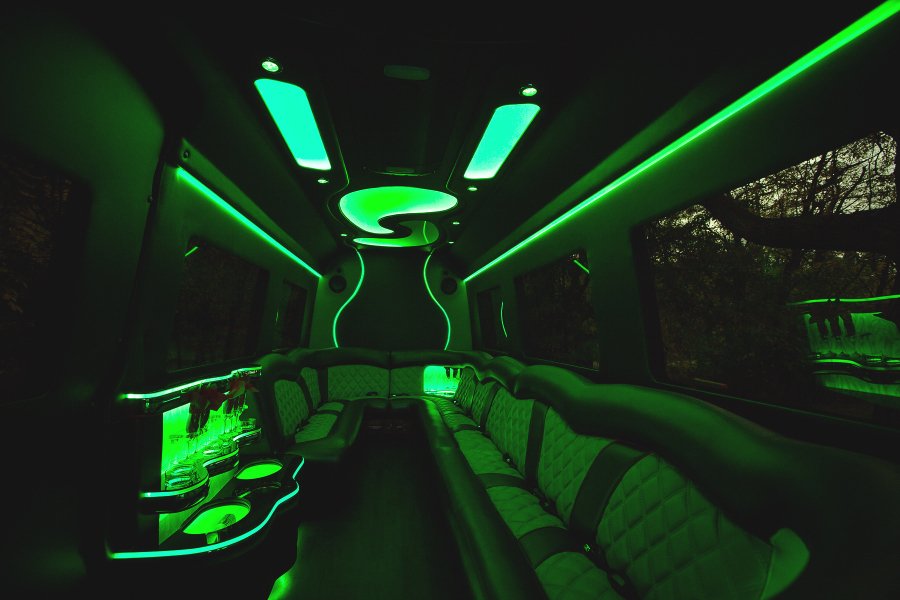 14-Passenger Mercedes-Benz Party Bus