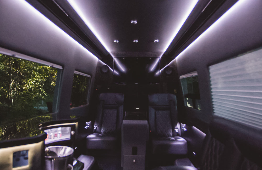 9-Passenger Silver Mercedes-Benz Party Bus