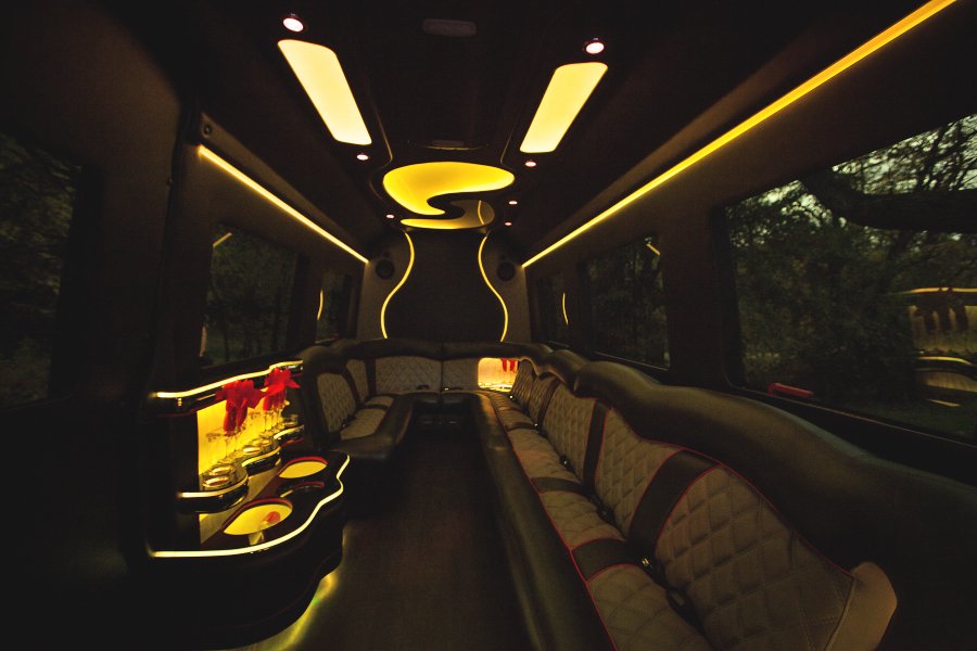 14-Passenger Mercedes-Benz Party Bus