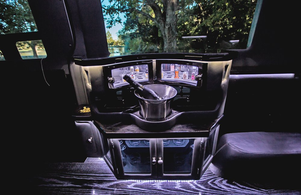 9-Passenger Silver Mercedes-Benz Party Bus