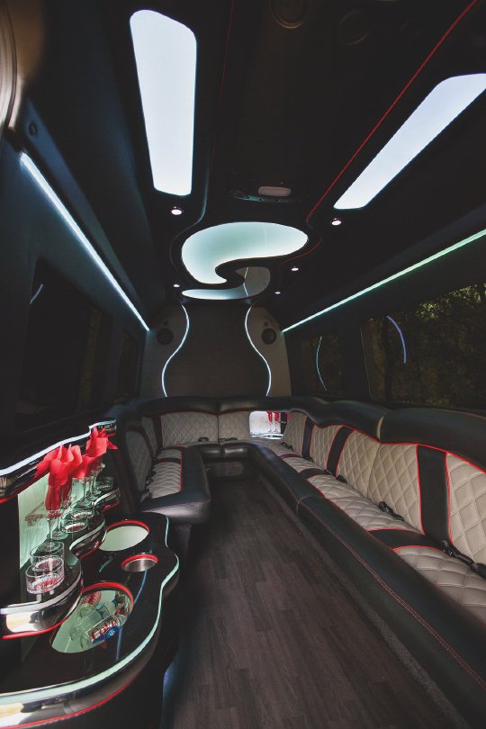 14-Passenger Mercedes-Benz Party Bus