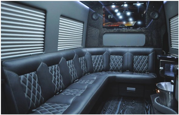 9-Passenger Silver Mercedes-Benz Party Bus