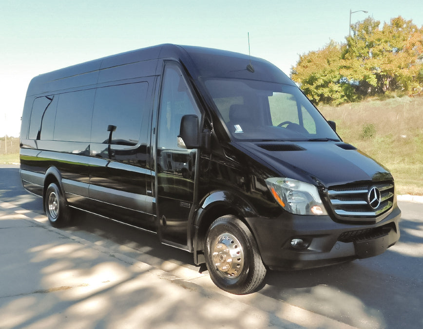 20-Passenger Black Mercedes-Benz Party Bus