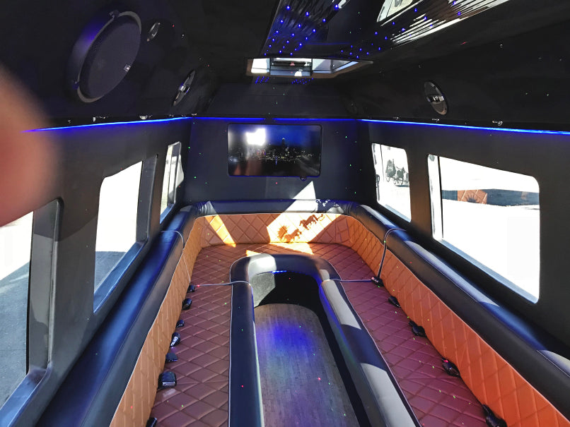 20-Passenger Black Mercedes-Benz Party Bus