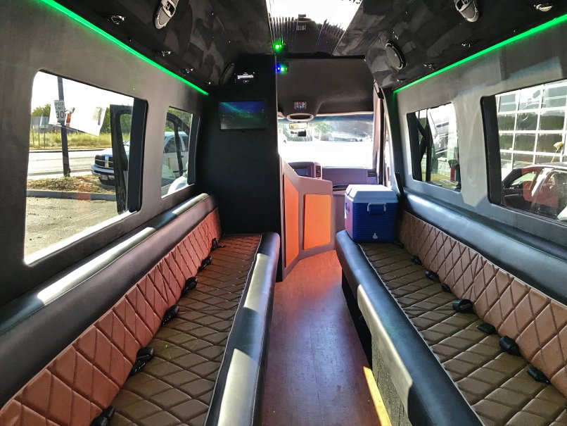 20-Passenger Black Mercedes-Benz Party Bus