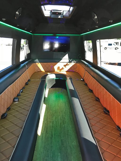 20-Passenger Black Mercedes-Benz Party Bus